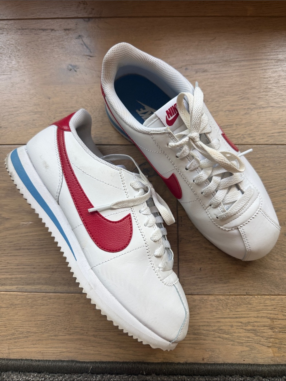 Nike Men’s White Leather Sneakers with Red Swoosh and Blue Accent